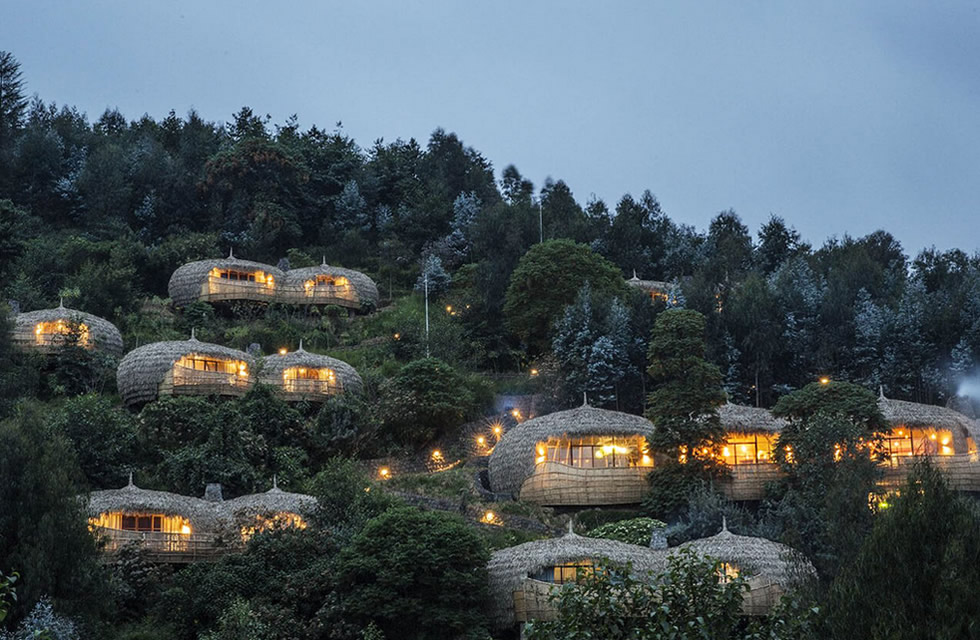 Planning Luxury Gorilla Safaris in Africa