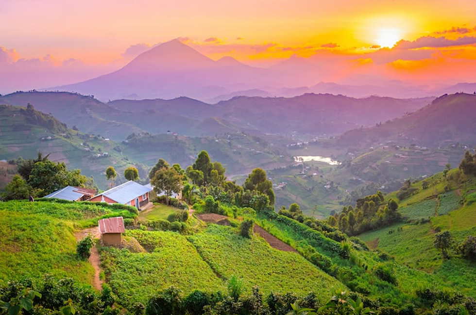 A Safari in Uganda, the Pearl of Africa