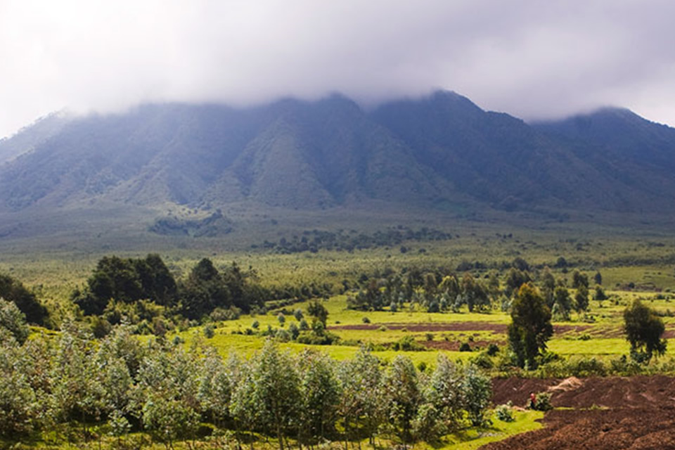 Go Gorilla Trekking in Virunga National Park